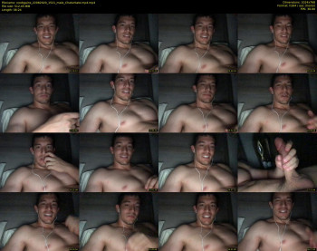 noobgains