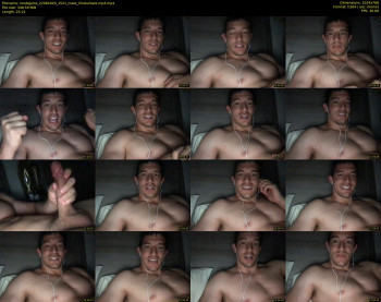 noobgains