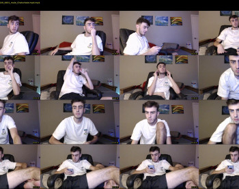 sexual_vibrations