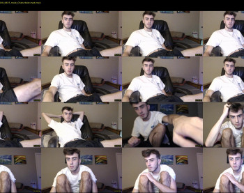 sexual_vibrations