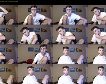sexual_vibrations