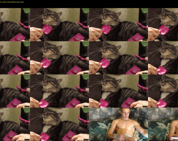 curtis_roy