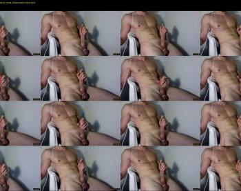 gipsta_21cm