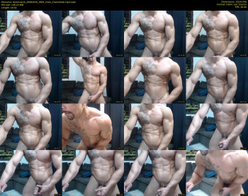 bestmuscle