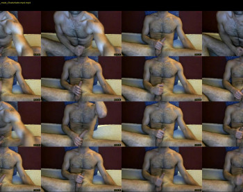 mr_zbra