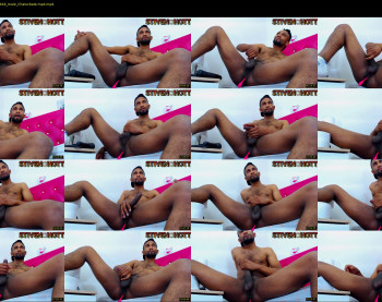 steven_hott