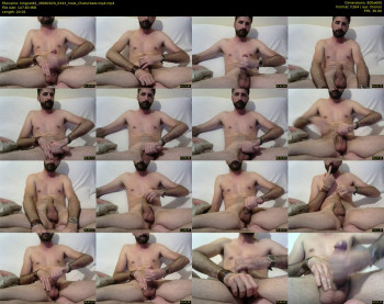 kingcat82