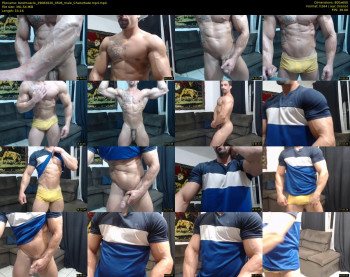 bestmuscle
