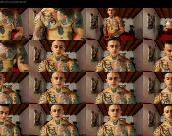 maxstephenx