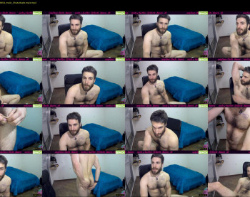 osito_blanco