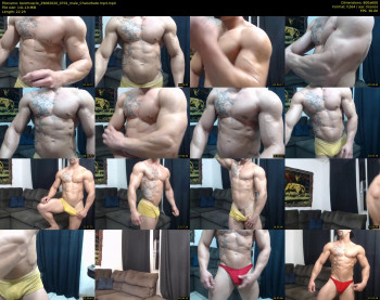 bestmuscle