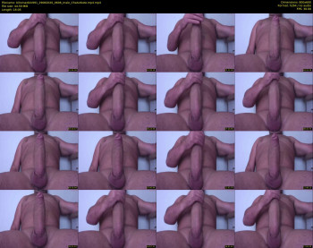 bihorsedick991