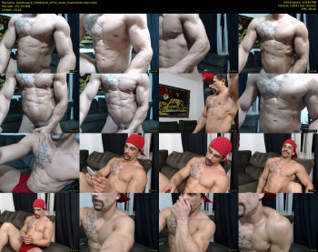 bestmuscle