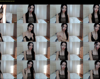 evasisi_01