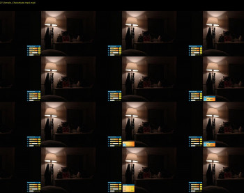 lina_erotic