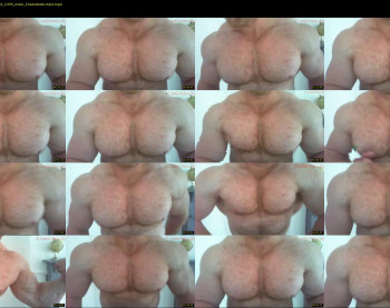 musclebullxx29