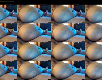 chubby38
