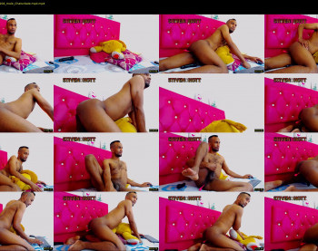 steven_hott