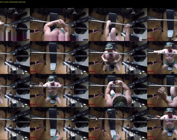 220muscled
