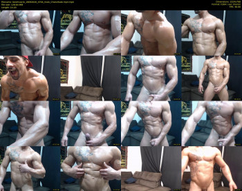 bestmuscle