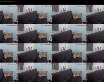 landon_junk