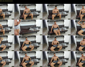 orlando_grey