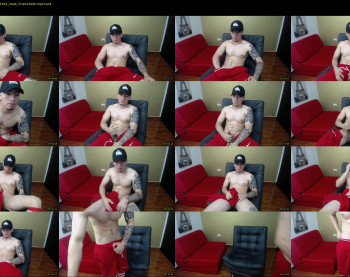 rocco_viloria