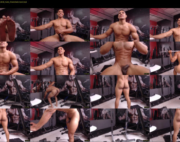 teddyfit19cm