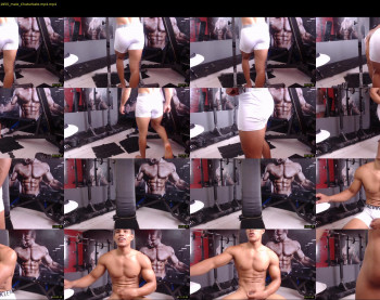 teddyfit19cm