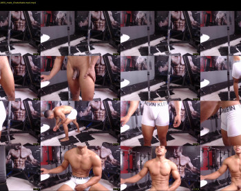 teddyfit19cm