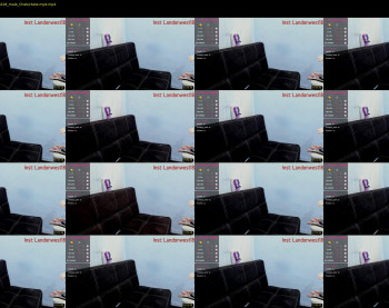 landon_junk