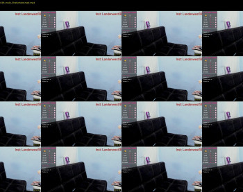 landon_junk