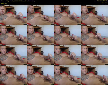 michigancock10