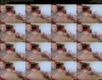 michigancock10
