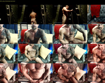 muscle_dog