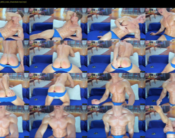 steevemuscle