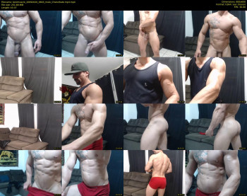 bestmuscle