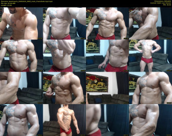 bestmuscle