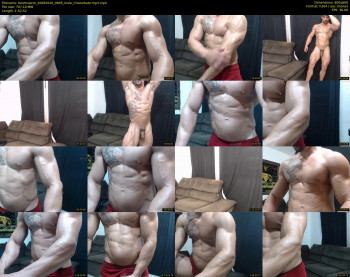 bestmuscle