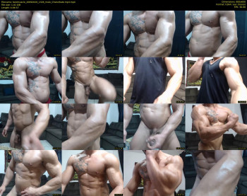 bestmuscle