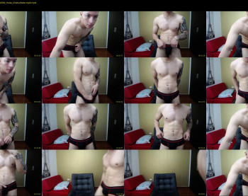 rocco_viloria