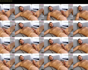 sinfuleagle