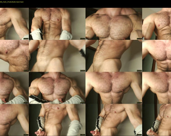 alan_week