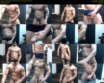 bestmuscle
