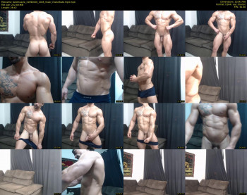 bestmuscle