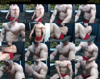 bestmuscle