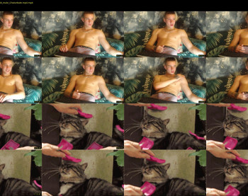 curtis_roy