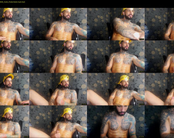dominic_fox