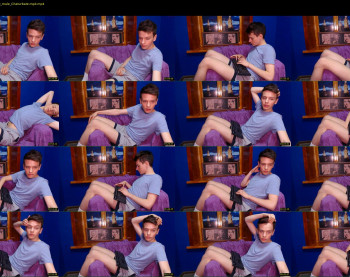 felix_fox
