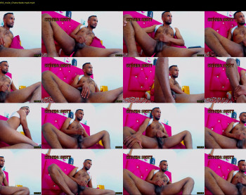 steven_hott